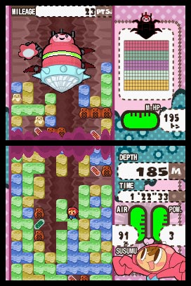 Nintendo DS Image Blowout!