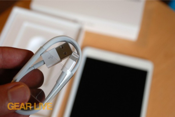 iPad mini Lightning to USB cable